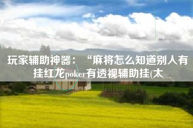 玩家辅助神器：“麻将怎么知道别人有挂红龙poker有透视辅助挂(太