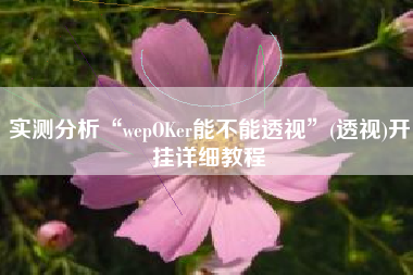实测分析“wepOKer能不能透视”(透视)开挂详细教程