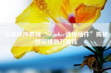 安装程序教程“wepoKer透视插件”揭秘透视辅助万能挂