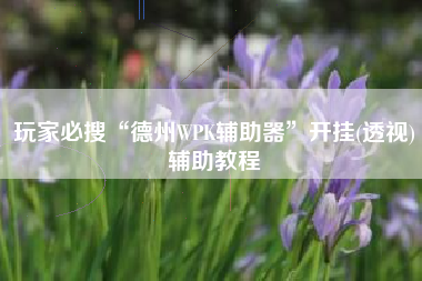玩家必搜“德州WPK辅助器	”开挂(透视)辅助教程