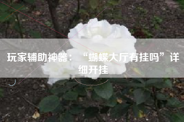 玩家辅助神器：“蝴蝶大厅有挂吗”详细开挂