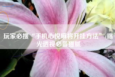 玩家必搜“手机心悦麻将开挂方法	”(曝光透视必备猫腻