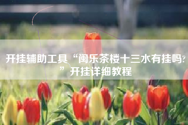 开挂辅助工具“闽乐茶楼十三水有挂吗?”开挂详细教程