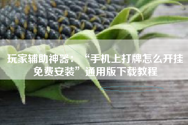 玩家辅助神器：“手机上打牌怎么开挂免费安装	”通用版下载教程