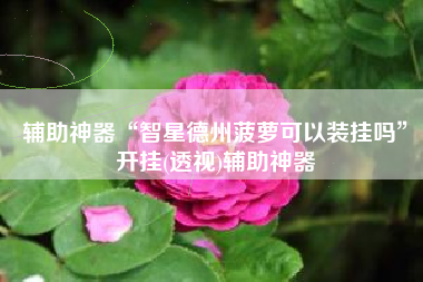 辅助神器“智星德州菠萝可以装挂吗”开挂(透视)辅助神器