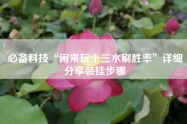 必备科技“闲来玩十三水刷胜率	”详细分享装挂步骤