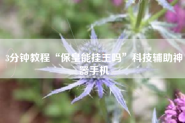 3分钟教程“保皇能挂王吗”科技辅助神器手机