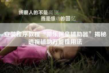 安装程序教程“微乐保皇辅助器	”揭秘透视辅助万能挂用法