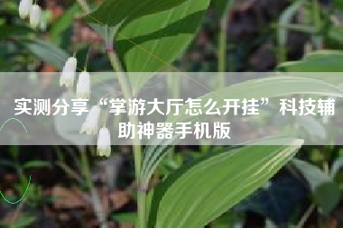 实测分享“掌游大厅怎么开挂”科技辅助神器手机版