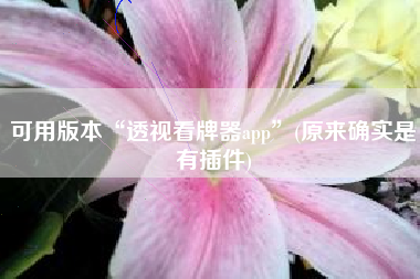 可用版本“透视看牌器app”(原来确实是有插件)