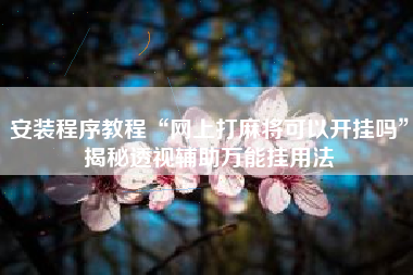 安装程序教程“网上打麻将可以开挂吗”揭秘透视辅助万能挂用法