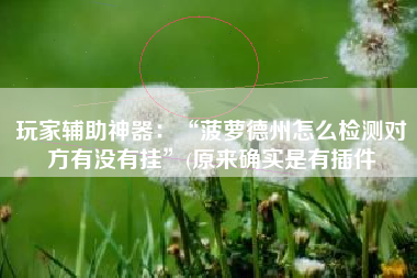 玩家辅助神器：“菠萝德州怎么检测对方有没有挂”(原来确实是有插件