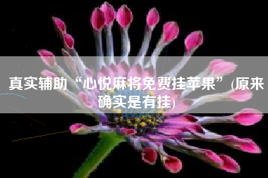 真实辅助“心悦麻将免费挂苹果”(原来确实是有挂)