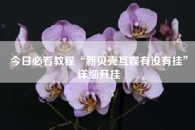 今日必看教程“新贝壳互娱有没有挂”详细开挂