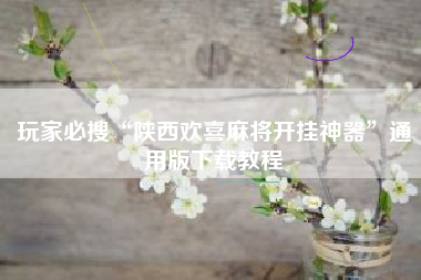 玩家必搜“陕西欢喜麻将开挂神器”通用版下载教程