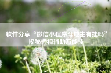 软件分享“微信小程序斗地主有挂吗	”揭秘透视辅助万能挂