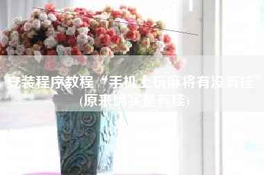 安装程序教程“手机上玩麻将有没有挂”(原来确实是有挂)