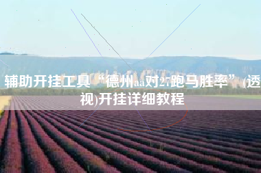 辅助开挂工具“德州aa对27跑马胜率”(透视)开挂详细教程