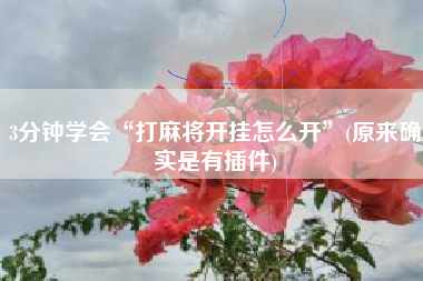 3分钟学会“打麻将开挂怎么开	”(原来确实是有插件)