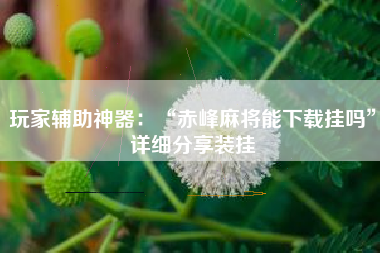 玩家辅助神器：“赤峰麻将能下载挂吗”详细分享装挂