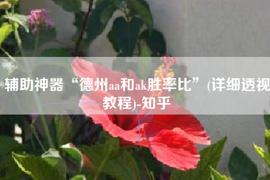 辅助神器“德州aa和ak胜率比”(详细透视教程)-知乎
