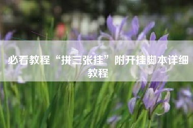 必看教程“拼三张挂”附开挂脚本详细教程