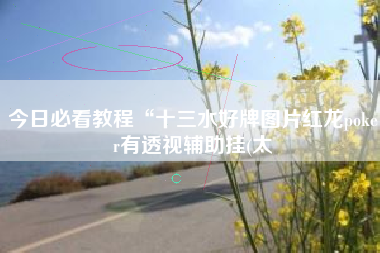 今日必看教程“十三水好牌图片红龙poker有透视辅助挂(太