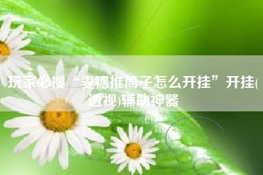 玩家必搜“麦穗推筒子怎么开挂”开挂(透视)辅助神器