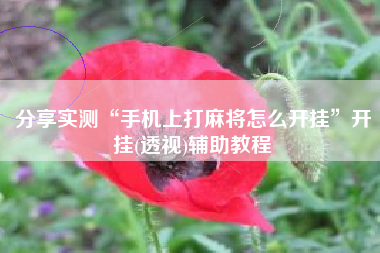 分享实测“手机上打麻将怎么开挂”开挂(透视)辅助教程