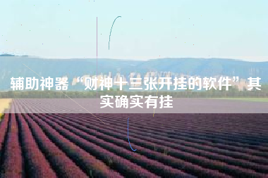 辅助神器“财神十三张开挂的软件”其实确实有挂