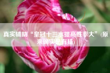 真实辅助“皇冠十三水提高胜率大	”(原来确实是有挂)