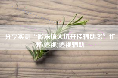 分享实测“微乐填大坑开挂辅助器”作弊(透视)透视辅助
