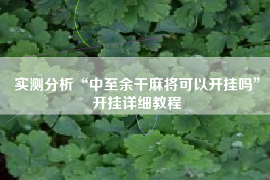 实测分析“中至余干麻将可以开挂吗	”开挂详细教程