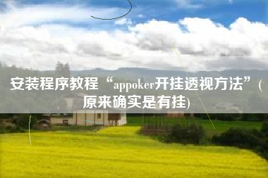 安装程序教程“appoker开挂透视方法	”(原来确实是有挂)