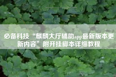 必备科技“麒麟大厅辅助app最新版本更新内容	”附开挂脚本详细教程