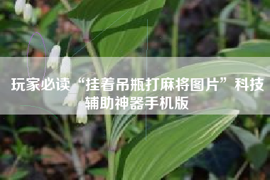 玩家必读“挂着吊瓶打麻将图片”科技辅助神器手机版
