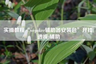 实操教程“wepoker辅助器安装包”开挂(透视)辅助