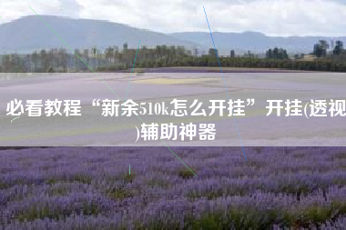 必看教程“新余510k怎么开挂”开挂(透视)辅助神器