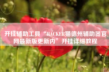 开挂辅助工具“HACKER猫德州辅助器官网最新版更新内	”开挂详细教程