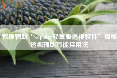 教程辅助“wepoker轻量版透视软件”揭秘透视辅助万能挂用法
