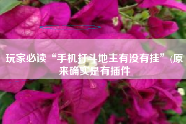 玩家必读“手机打斗地主有没有挂”(原来确实是有插件