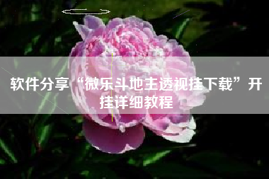 软件分享“微乐斗地主透视挂下载”开挂详细教程