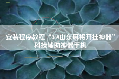 安装程序教程“369山东麻将开挂神器	”科技辅助神器手机