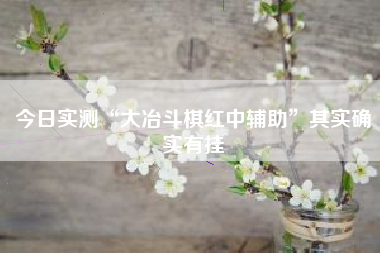 今日实测“大冶斗棋红中辅助	”其实确实有挂