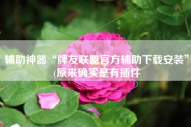 辅助神器“牌友联盟官方辅助下载安装	”(原来确实是有插件