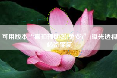 可用版本“喜扣辅助器(免费)”(曝光透视必备猫腻
