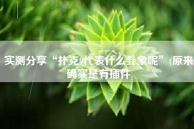 实测分享“扑克9代表什么卦象呢	”(原来确实是有插件