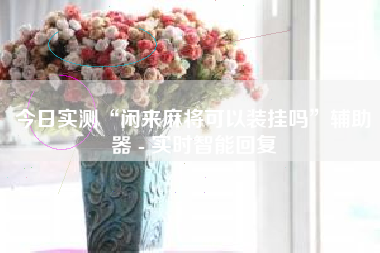 今日实测“闲来麻将可以装挂吗”辅助器 - 实时智能回复