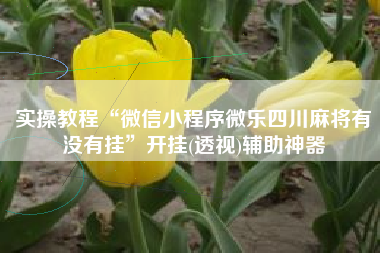 实操教程“微信小程序微乐四川麻将有没有挂”开挂(透视)辅助神器