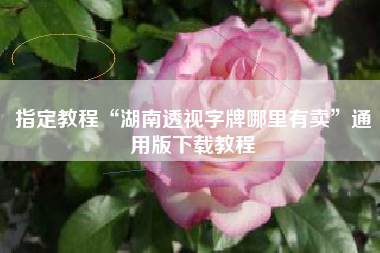 指定教程“湖南透视字牌哪里有卖”通用版下载教程